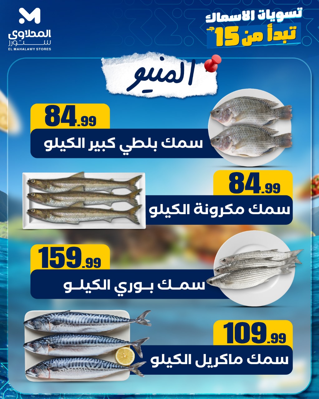 el-mahallawy offers from 11jul to 1jun 2025 عروض المحلاوي من 11 يوليو حتى 1 يونيو 2025 صفحة رقم 1